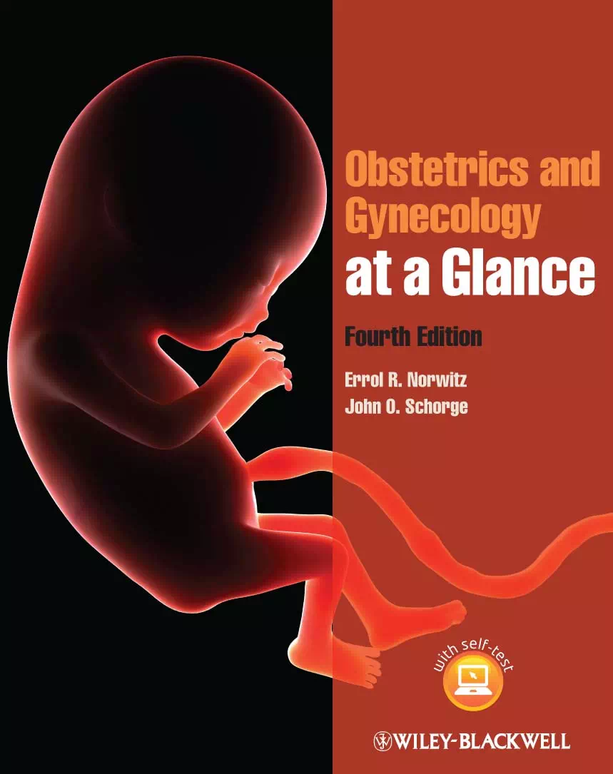 Obstetrics and Gynecology at a Glance - Errol Norwitz